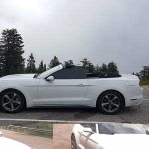 Meet your Posher, Zoo